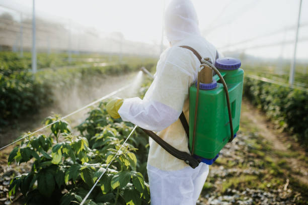 Pest Control for Warehouses in Alderwood Manor, WA